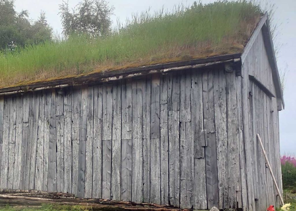 naust med gresskledd tak