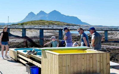 Opplev dyreriket på Tranøy fyr!